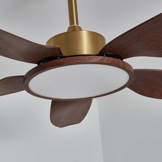 Sirocco Breeze Ceiling Fan Light 1001 Ceiling fan light