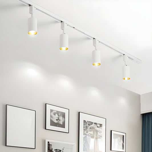 Sleek Cylinder Track Light Ceiling lamp
