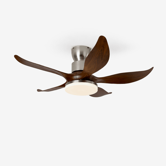 Sylvara Ceiling Fan Light