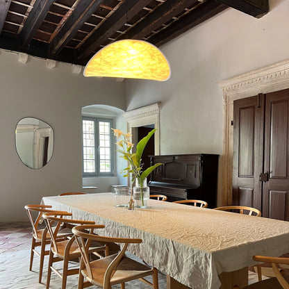 Tense Pendant Swag Light 1001 Pendant light