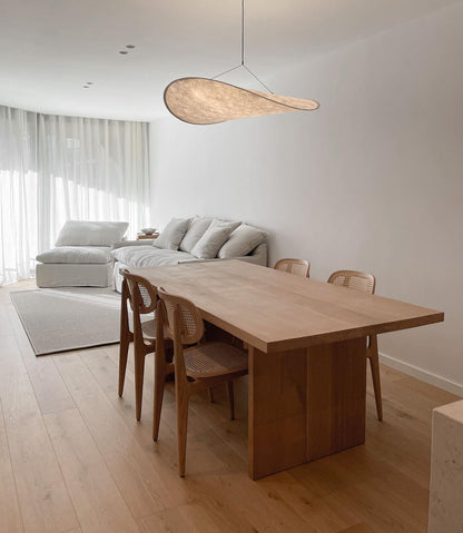 Tense Pendant Swag Light 1001 Pendant light