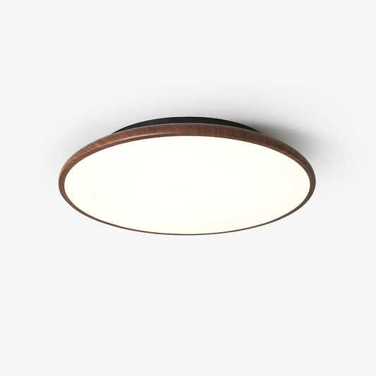 Thin Geometry Shape Ceiling Lamp Ceiling lamp