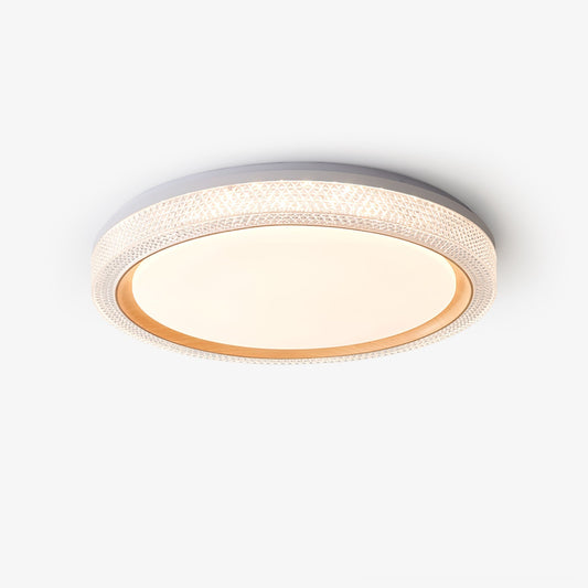 Thin Round Ceiling Lamp Ceiling lamp