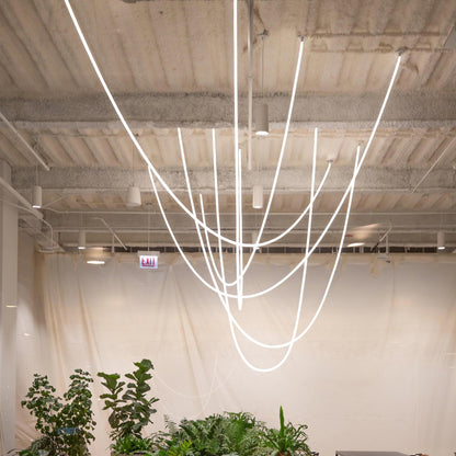 Flexible Curve linear Pendant Lamp