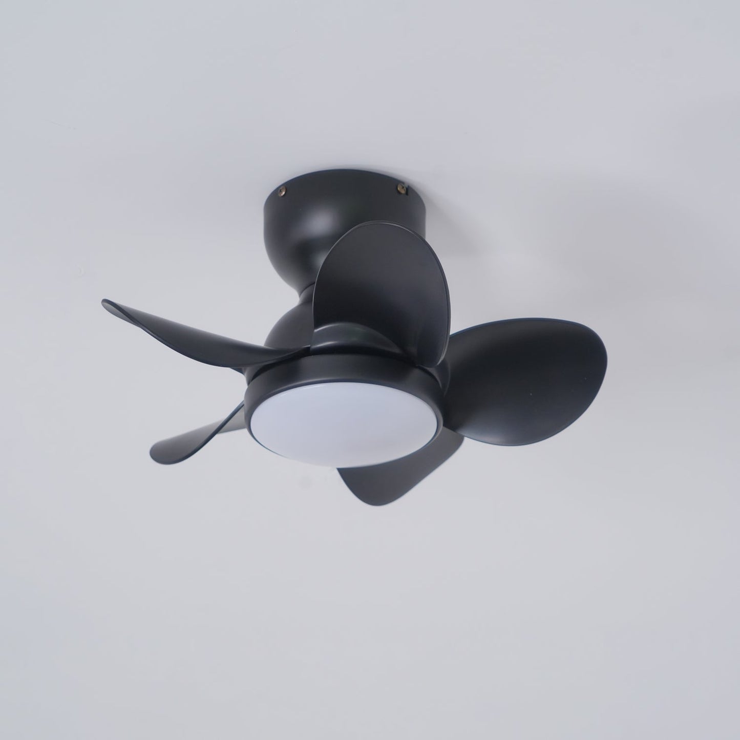 Trailblazer 18’’ Ceiling Fan Light ∅ 18″ x H 9.8″ / Black Ceiling fan light