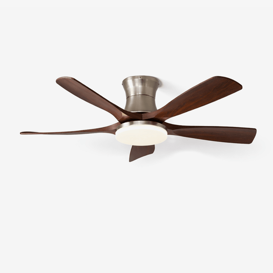 Windara Ceiling Fan Light
