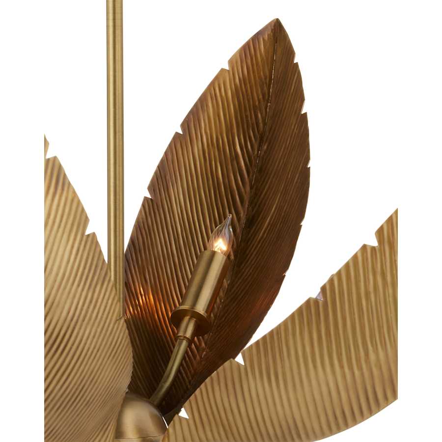 Currey and Company Bird of Paradise 6 Light 33" Wide Pendant with Metal Shade