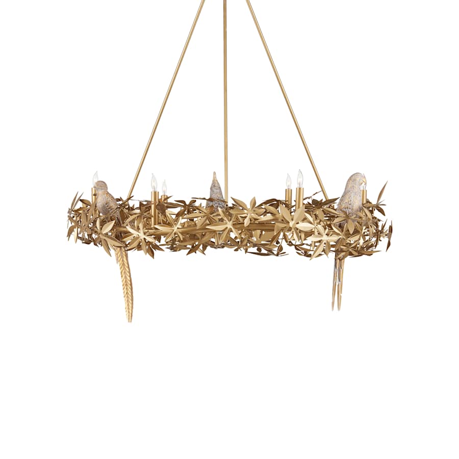 Currey and Company Aviary 6 Light 42" Wide Wrought Iron Candle Style Chandelier