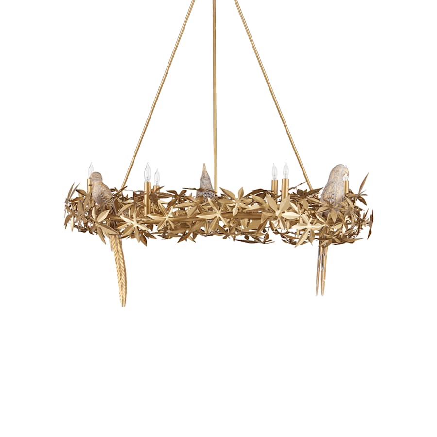 Currey and Company Aviary 6 Light 42" Wide Wrought Iron Candle Style Chandelier