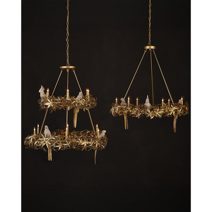 Currey and Company Aviary 6 Light 42" Wide Wrought Iron Candle Style Chandelier