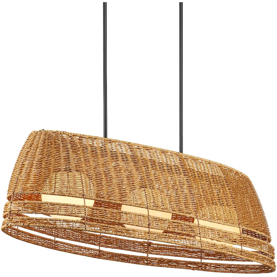 Currey and Company Barbary 3 Light 53" Wide Linear Outdoor Chandelier