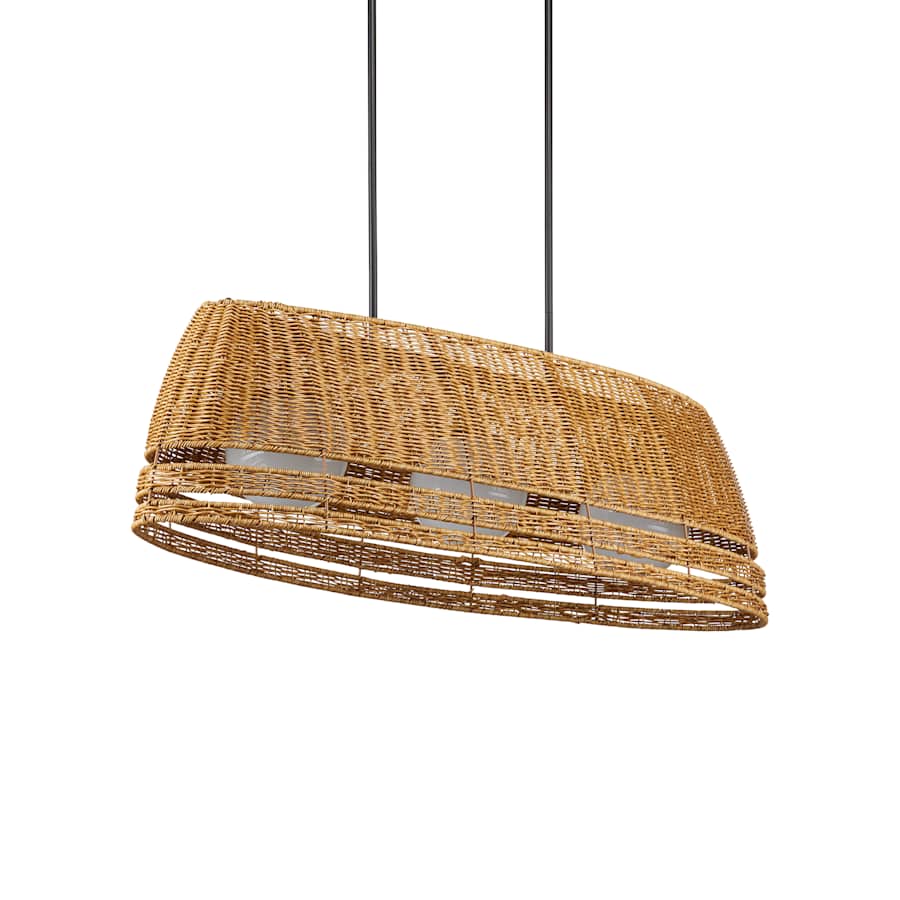 Currey and Company Barbary 3 Light 53" Wide Linear Outdoor Chandelier