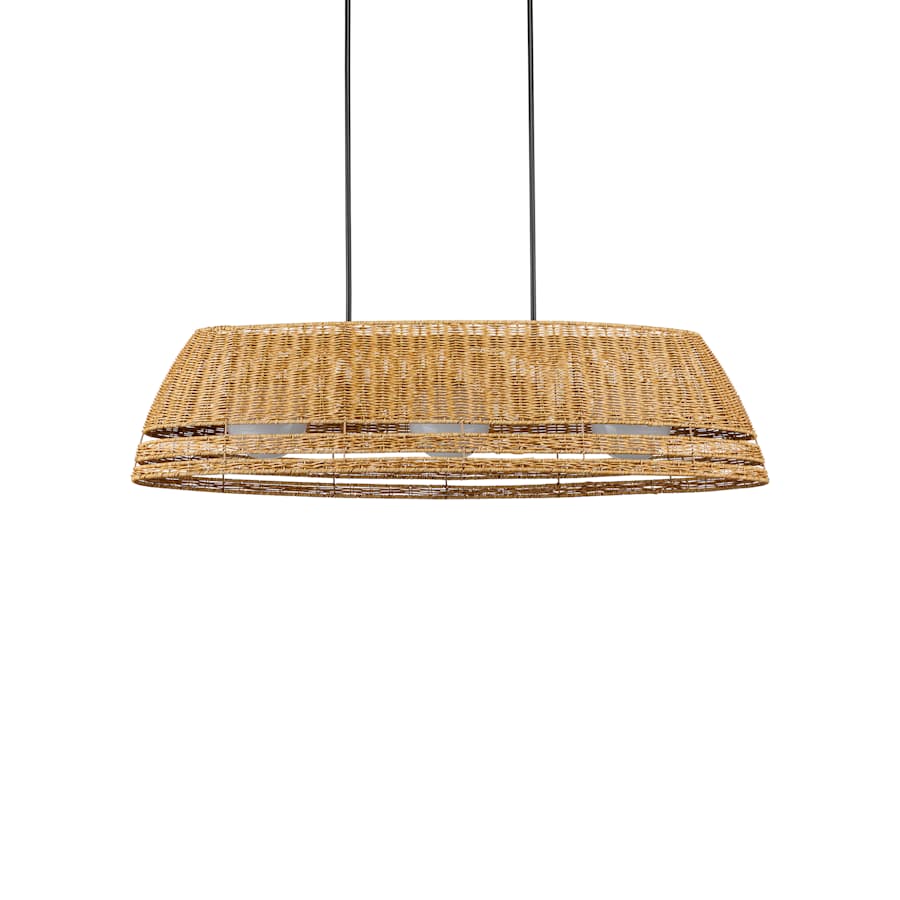 Currey and Company Barbary 3 Light 53" Wide Linear Outdoor Chandelier