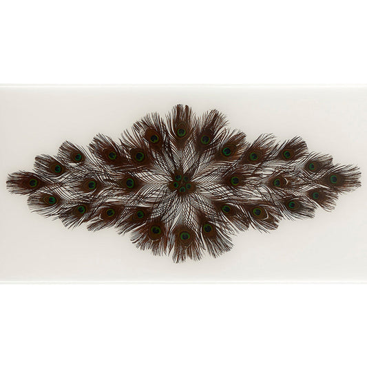Peacock Rectangle Cocktail Table