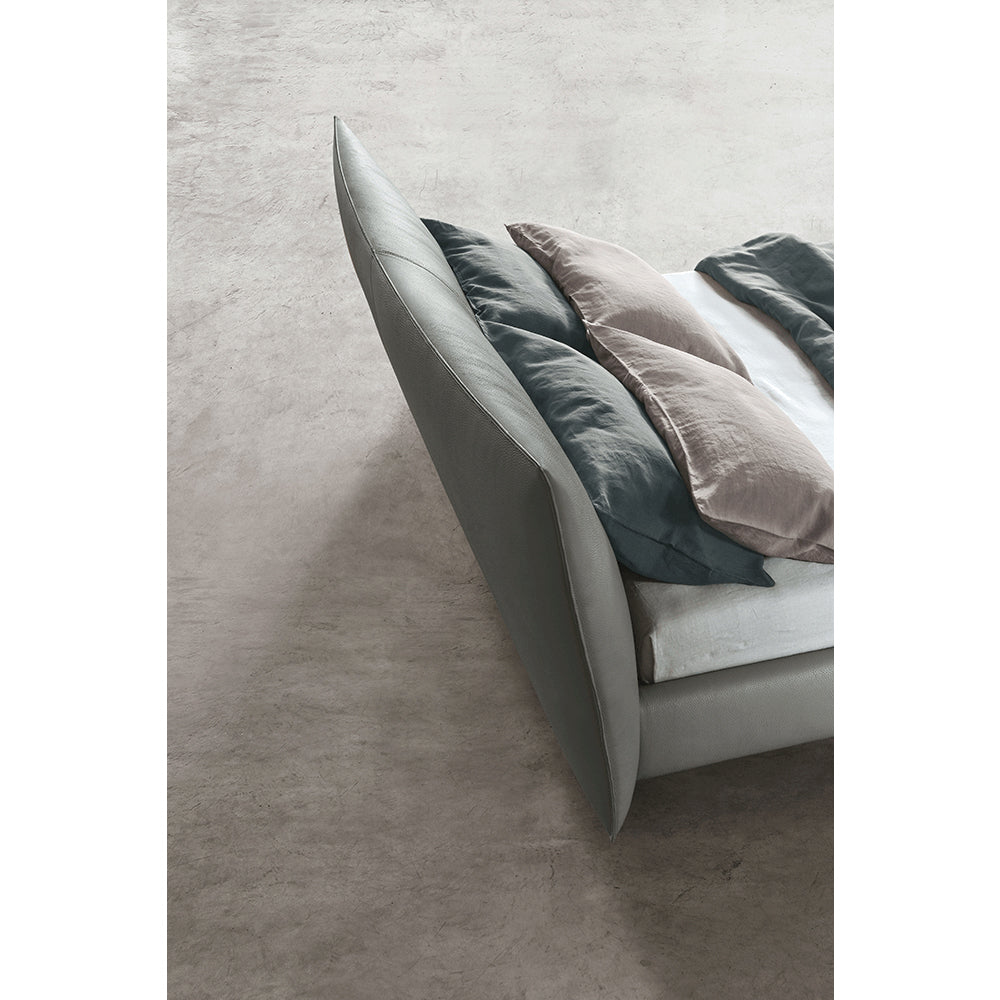 Suite Bed